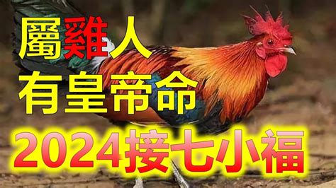 屬雞的年次|屬雞出生年份/幾多歲？屬雞性格特徵+生肖配對+2024。